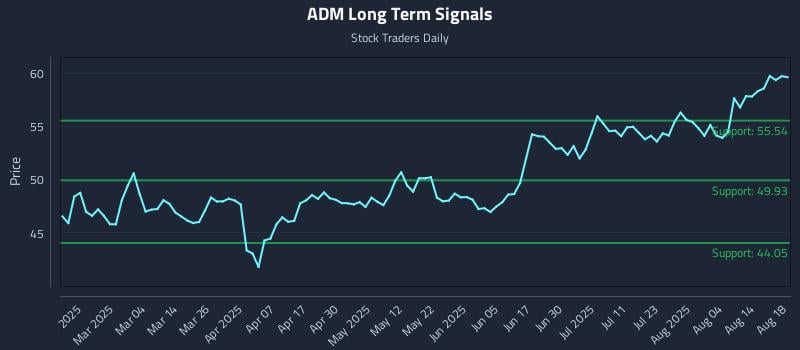 ADM Long Term Analysis for August 19 2025