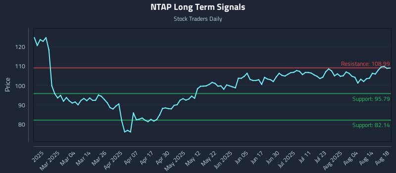 NTAP Long Term Analysis for August 19 2025