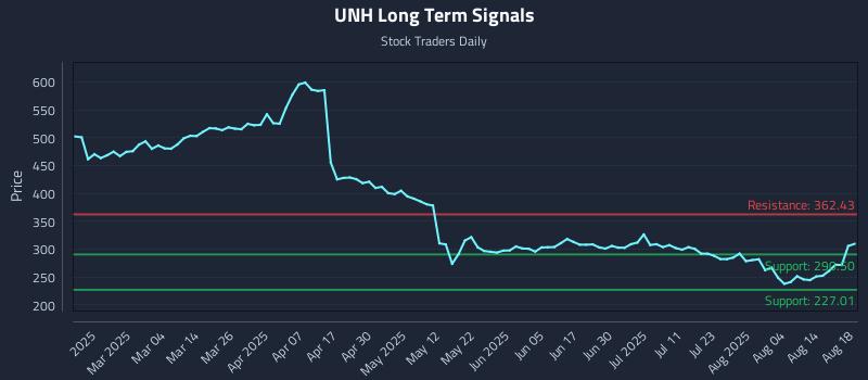 UNH Long Term Analysis for August 19 2025
