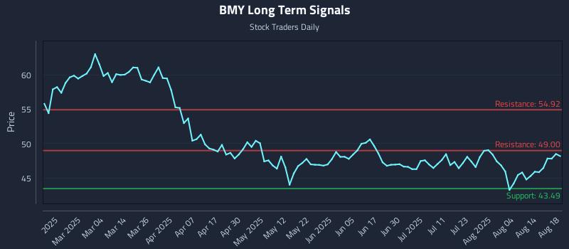 BMY Long Term Analysis for August 19 2025