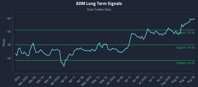 ADM Long Term Analysis for August 19 2025