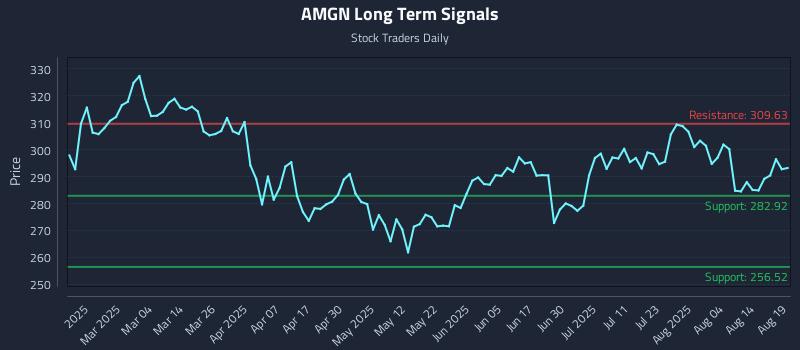 AMGN Long Term Analysis for August 19 2025
