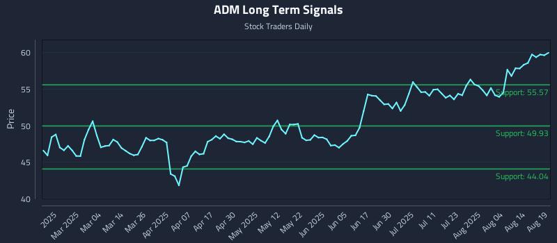 ADM Long Term Analysis for August 19 2025