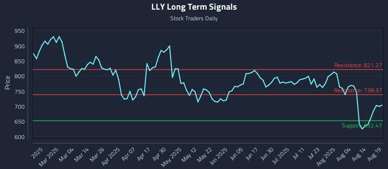 LLY Long Term Analysis for August 19 2025