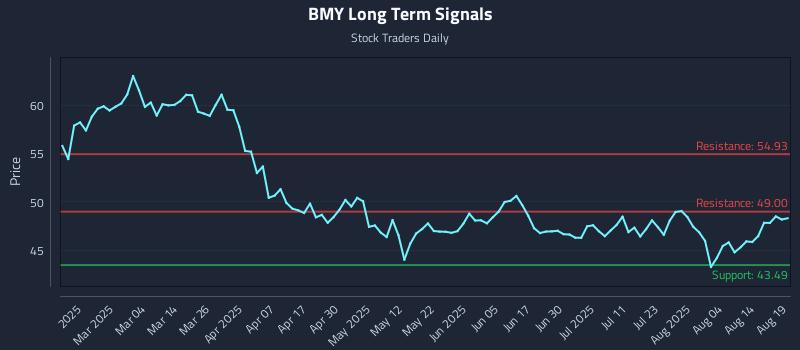 BMY Long Term Analysis for August 19 2025