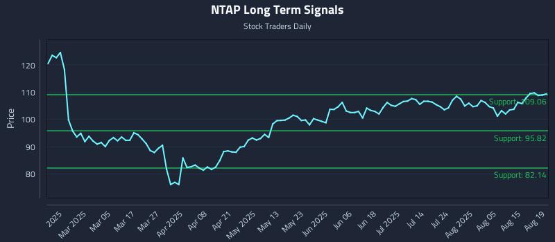 NTAP Long Term Analysis for August 20 2025