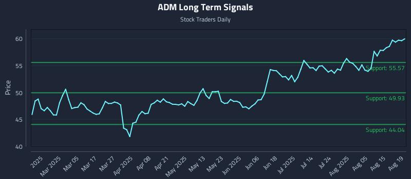 ADM Long Term Analysis for August 20 2025 ADM Long Term Analysis for August 20 2025