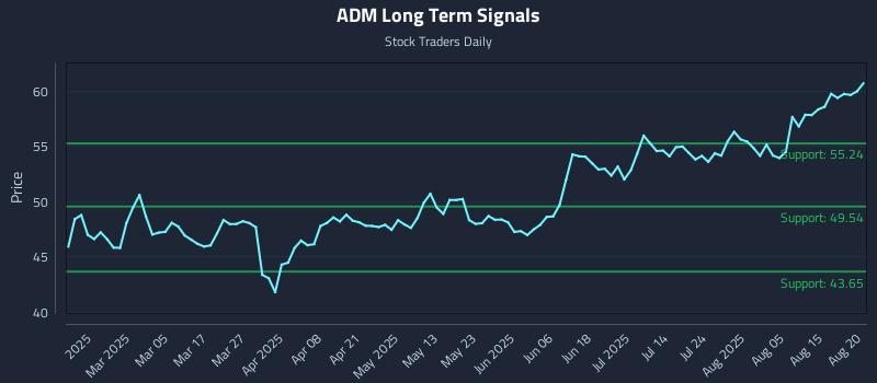 ADM Long Term Analysis for August 20 2025 ADM Long Term Analysis for August 20 2025