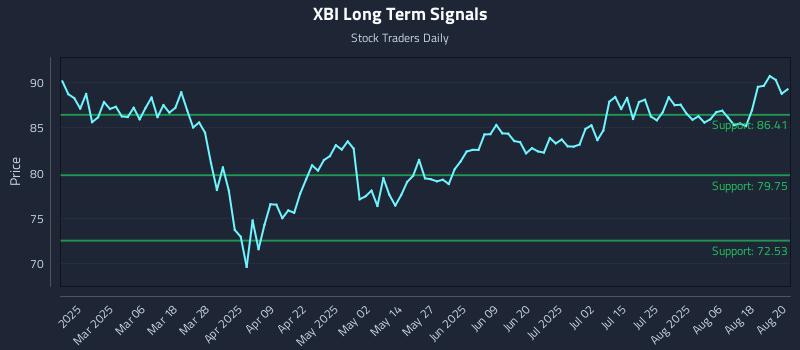XBI Long Term Analysis for August 21 2025