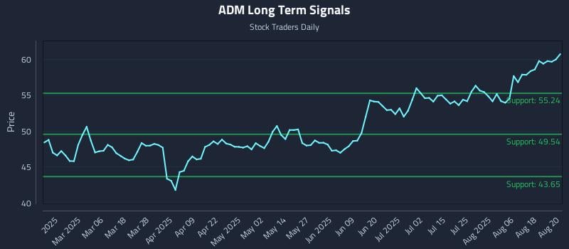 ADM Long Term Analysis for August 21 2025 ADM Long Term Analysis for August 21 2025