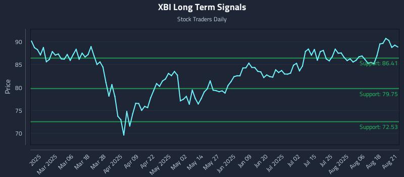 XBI Long Term Analysis for August 21 2025 XBI Long Term Analysis for August 21 2025