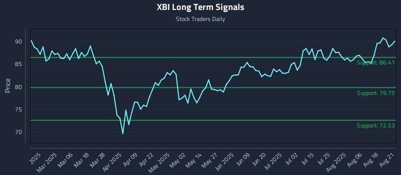 XBI Long Term Analysis for August 21 2025
