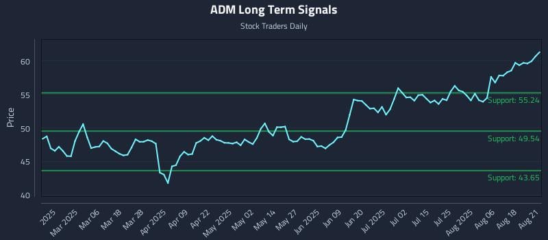 ADM Long Term Analysis for August 21 2025 ADM Long Term Analysis for August 21 2025