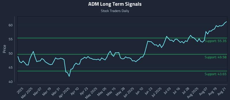 ADM Long Term Analysis for August 22 2025