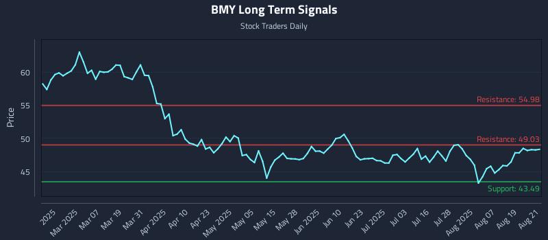 BMY Long Term Analysis for August 22 2025