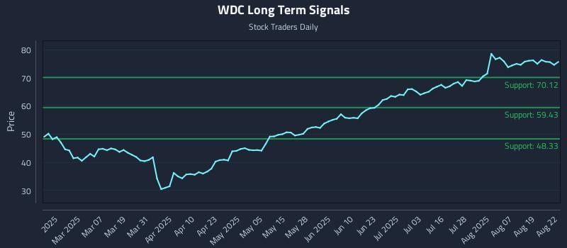 WDC Long Term Analysis for August 22 2025