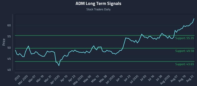 ADM Long Term Analysis for August 22 2025 ADM Long Term Analysis for August 22 2025