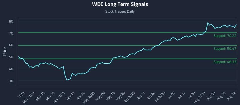 WDC Long Term Analysis for August 25 2025