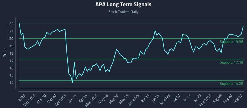 APA Long Term Analysis for August 25 2025