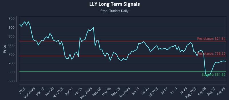 LLY Long Term Analysis for August 25 2025