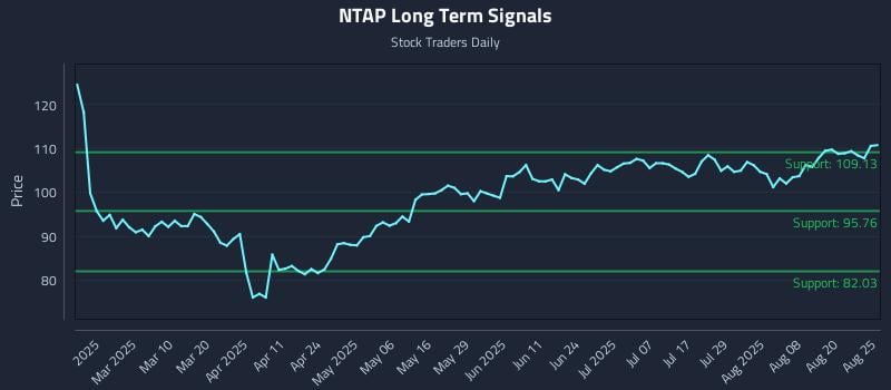 NTAP Long Term Analysis for August 25 2025