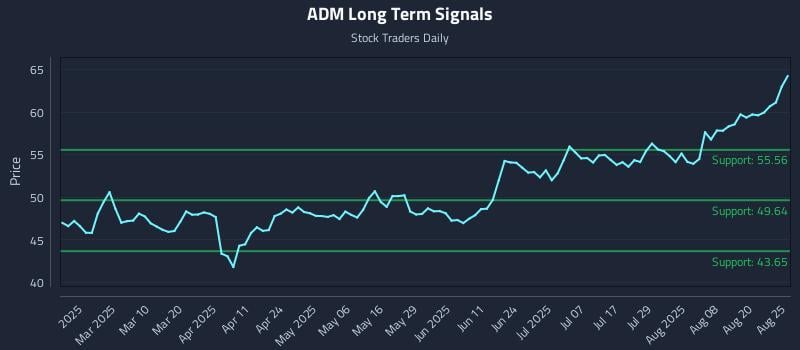 ADM Long Term Analysis for August 25 2025