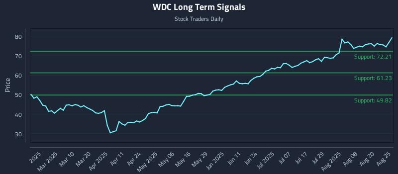WDC Long Term Analysis for August 25 2025