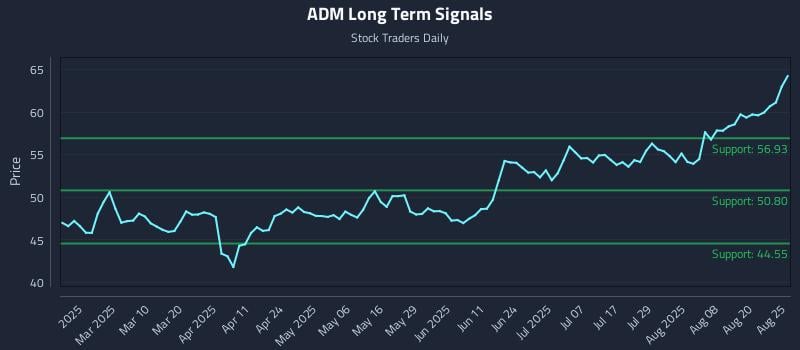 ADM Long Term Analysis for August 25 2025