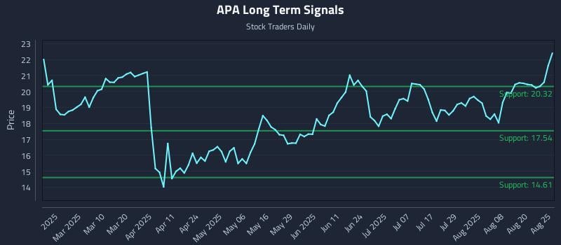 APA Long Term Analysis for August 25 2025