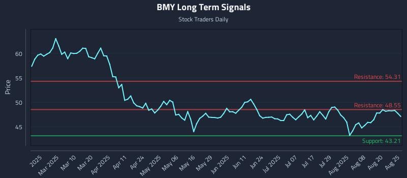 BMY Long Term Analysis for August 25 2025