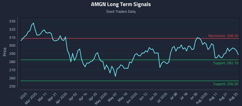 AMGN Long Term Analysis for August 26 2025