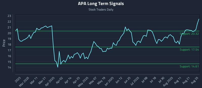 APA Long Term Analysis for August 26 2025