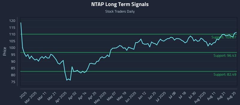 NTAP Long Term Analysis for August 26 2025