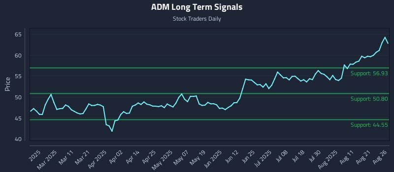ADM Long Term Analysis for August 26 2025 ADM Long Term Analysis for August 26 2025