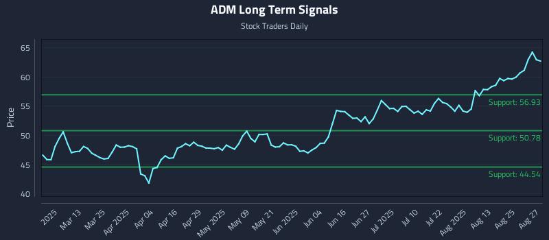 ADM Long Term Analysis for August 28 2025 ADM Long Term Analysis for August 28 2025