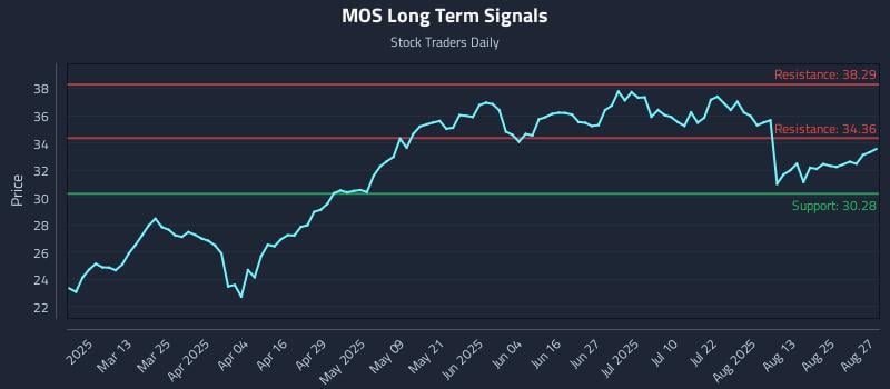 MOS Long Term Analysis for August 28 2025 MOS Long Term Analysis for August 28 2025