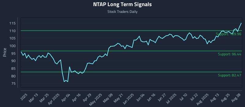 NTAP Long Term Analysis for August 28 2025