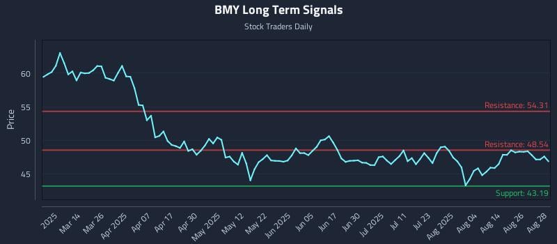 BMY Long Term Analysis for August 29 2025 BMY Long Term Analysis for August 29 2025