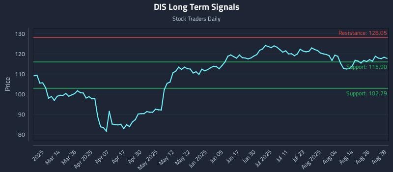 DIS Long Term Analysis for August 29 2025