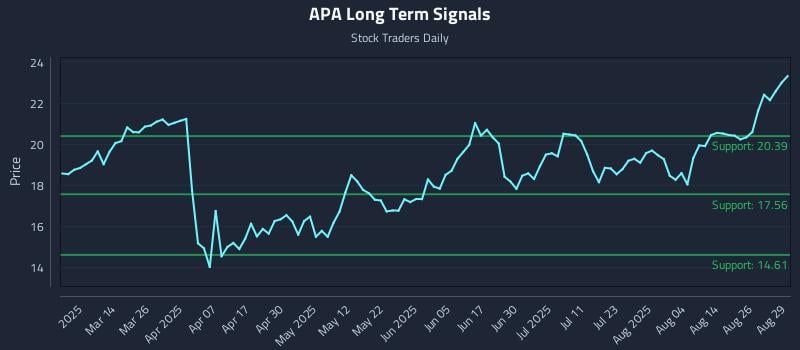 APA Long Term Analysis for August 29 2025 APA Long Term Analysis for August 29 2025