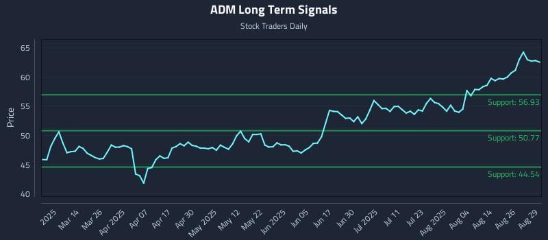 ADM Long Term Analysis for August 29 2025 ADM Long Term Analysis for August 29 2025