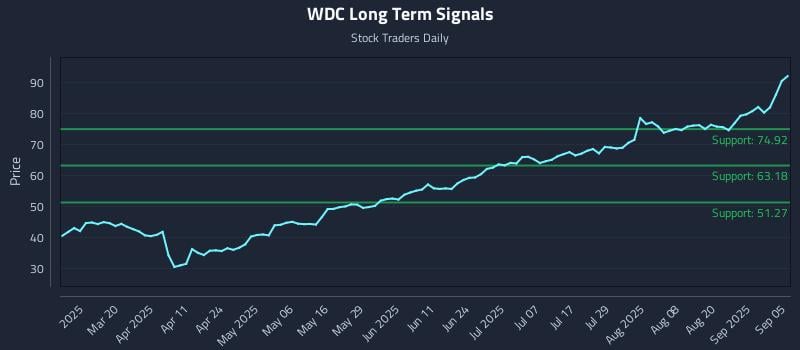 WDC Long Term Analysis for September 5 2025