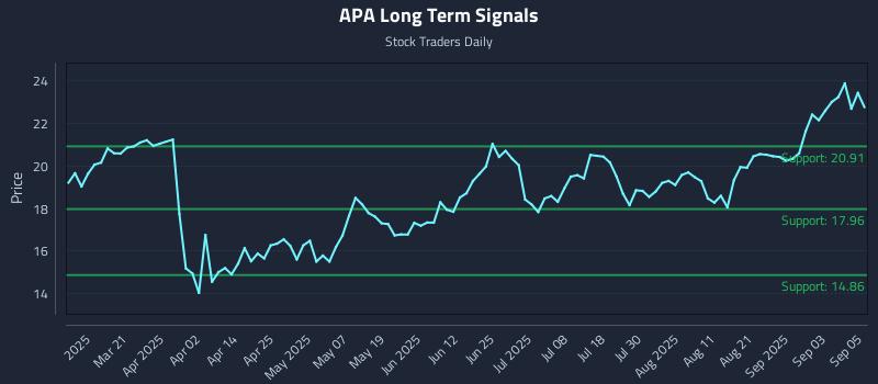 APA Long Term Analysis for September 8 2025