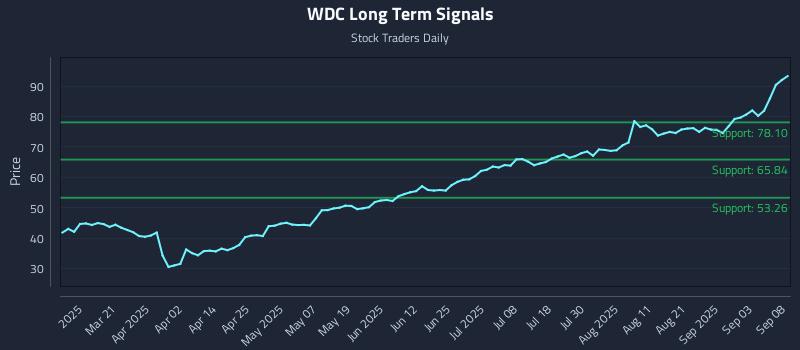 WDC Long Term Analysis for September 8 2025