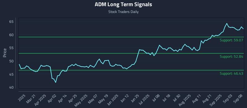 ADM Long Term Analysis for September 8 2025 ADM Long Term Analysis for September 8 2025