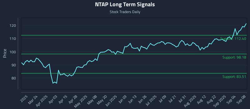 NTAP Long Term Analysis for September 9 2025