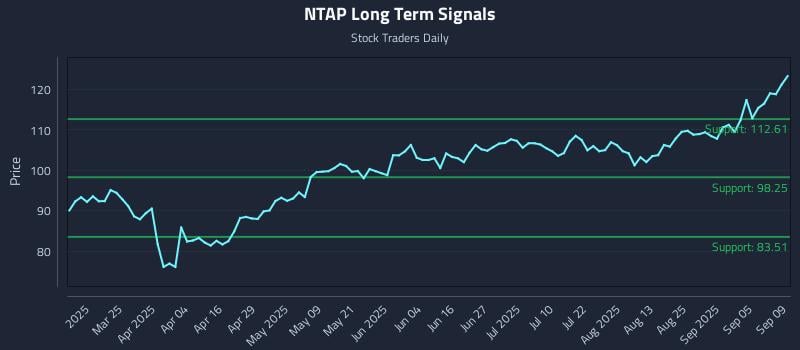 NTAP Long Term Analysis for September 10 2025