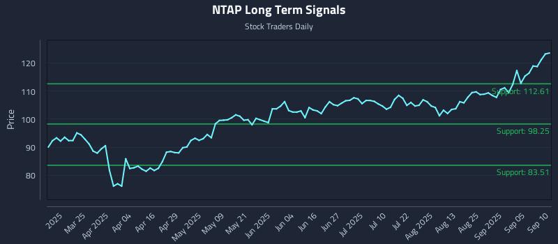 NTAP Long Term Analysis for September 10 2025