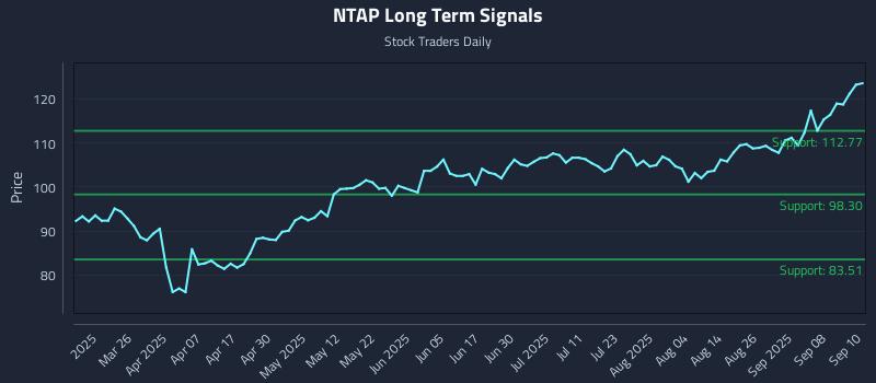 NTAP Long Term Analysis for September 11 2025