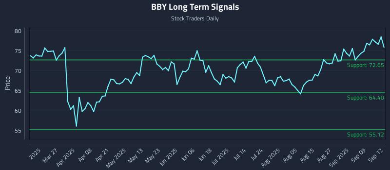 BBY Long Term Analysis for September 13 2025